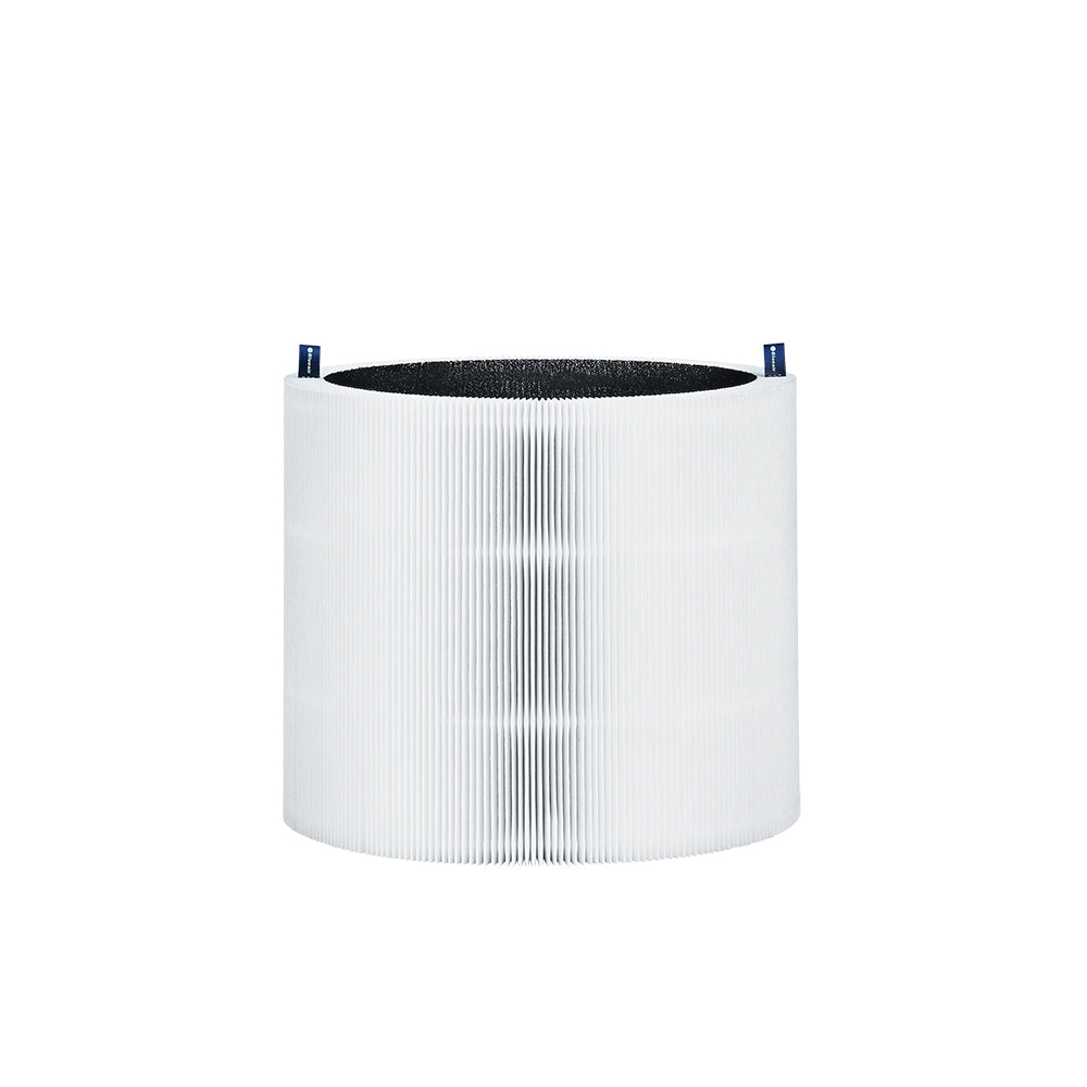 Blue Max 3250/3250i Particle + Carbon Filter