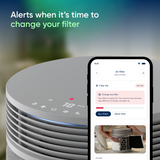 Blue Signature SP4i Replacement filter