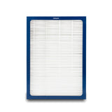 600 series DualProtection Filter